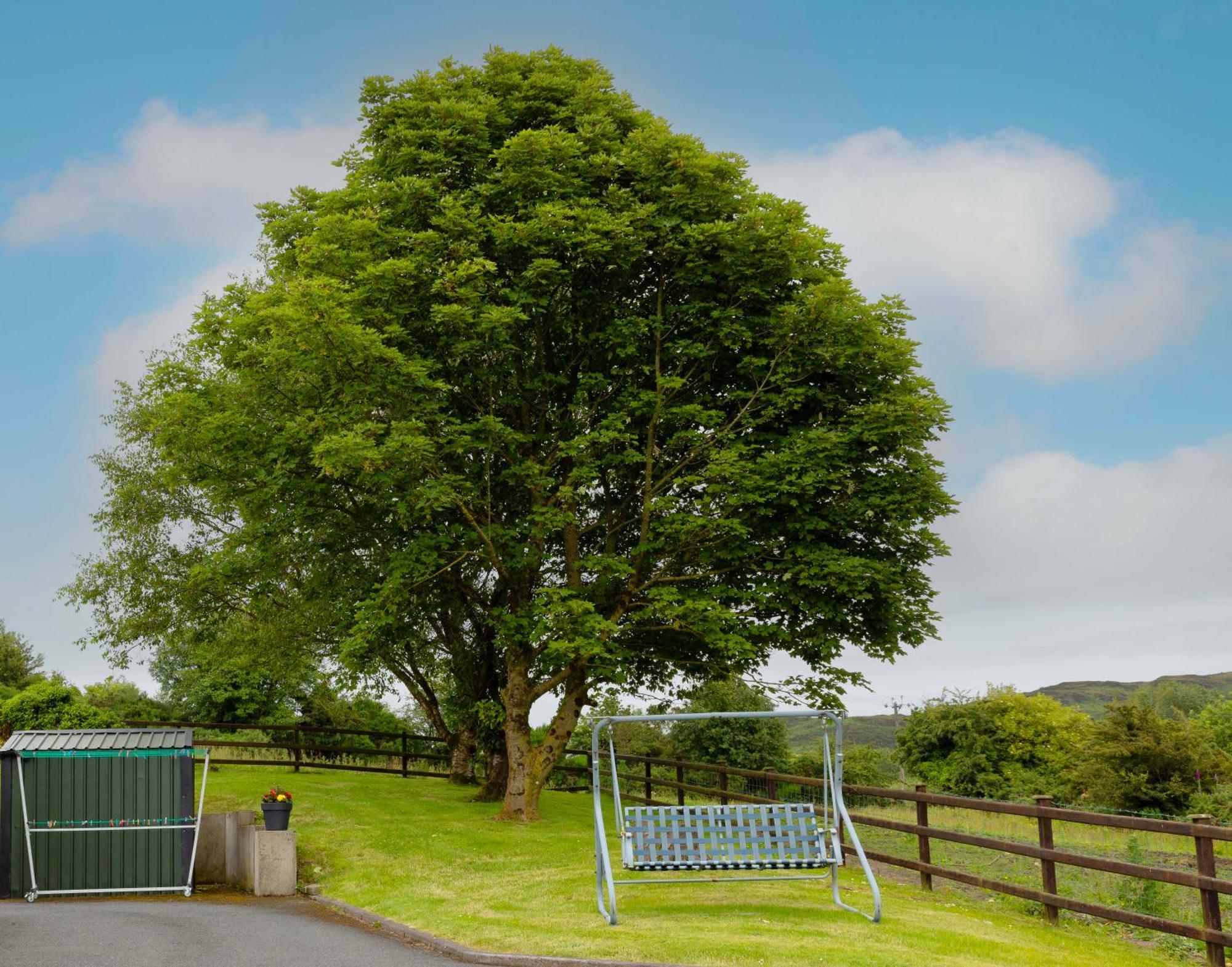 Appartamento Mountain Nest At The Foot Of Slieve Gullion Cloghoge Esterno foto