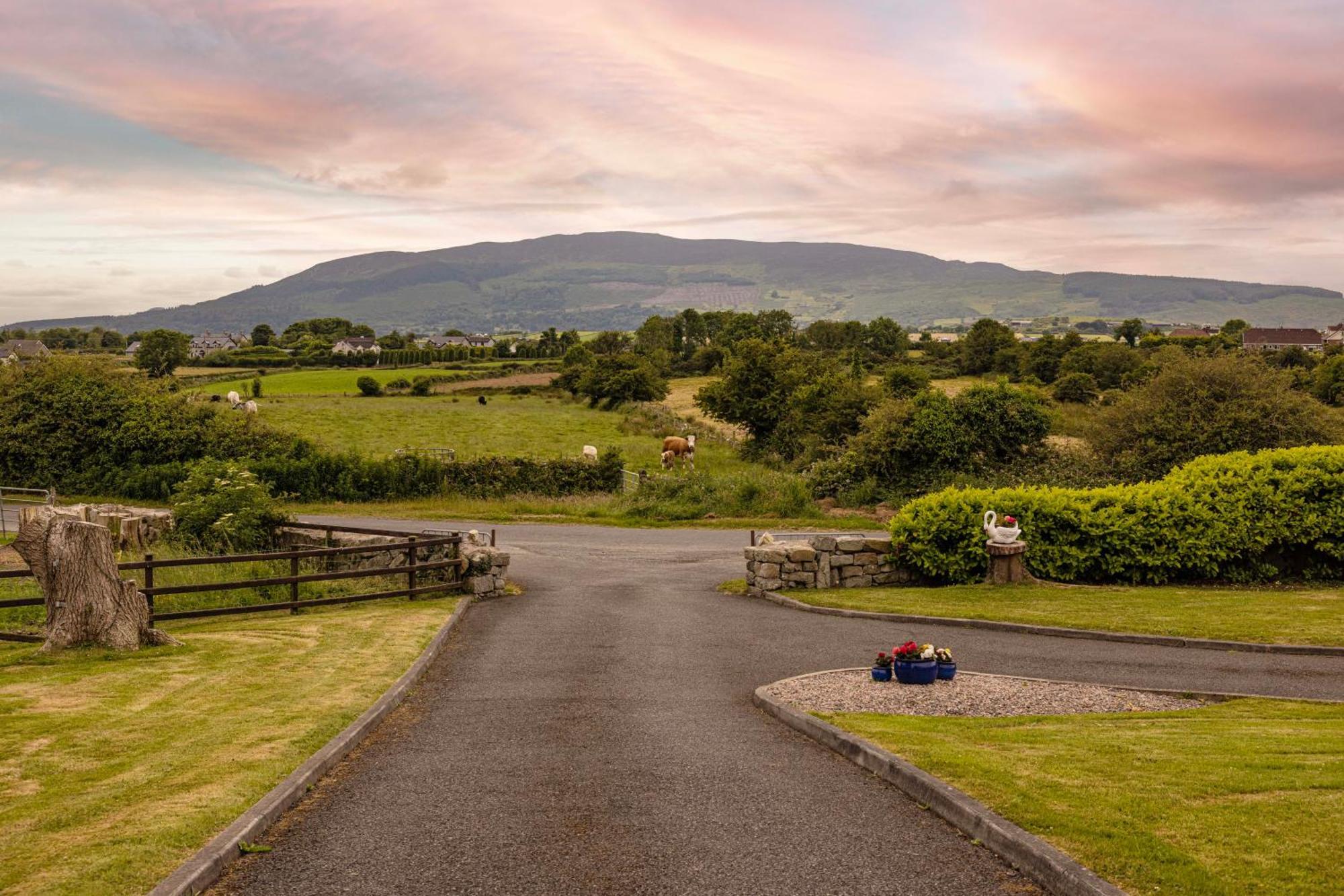 Appartamento Mountain Nest At The Foot Of Slieve Gullion Cloghoge Esterno foto